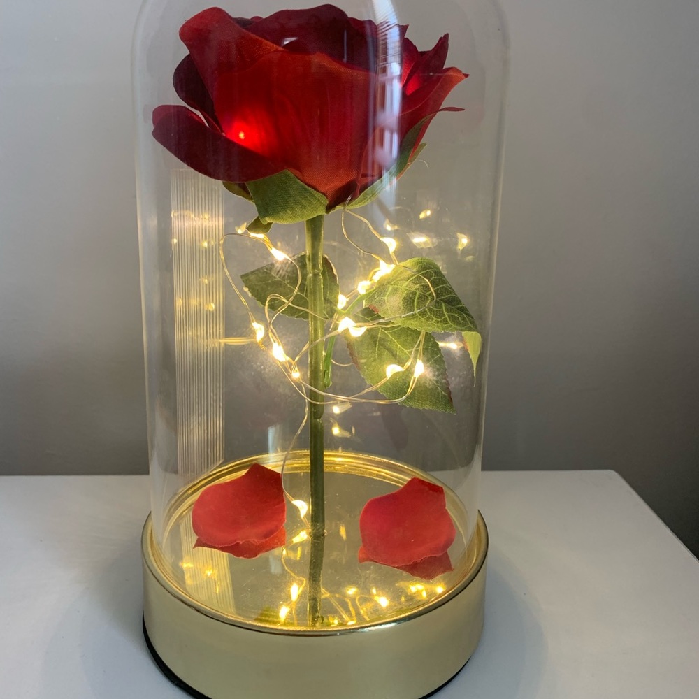 Beauty and the Beast Rose